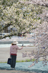 春の思い出