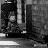 番犬と番狸？