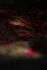 終演～冬の終わり～