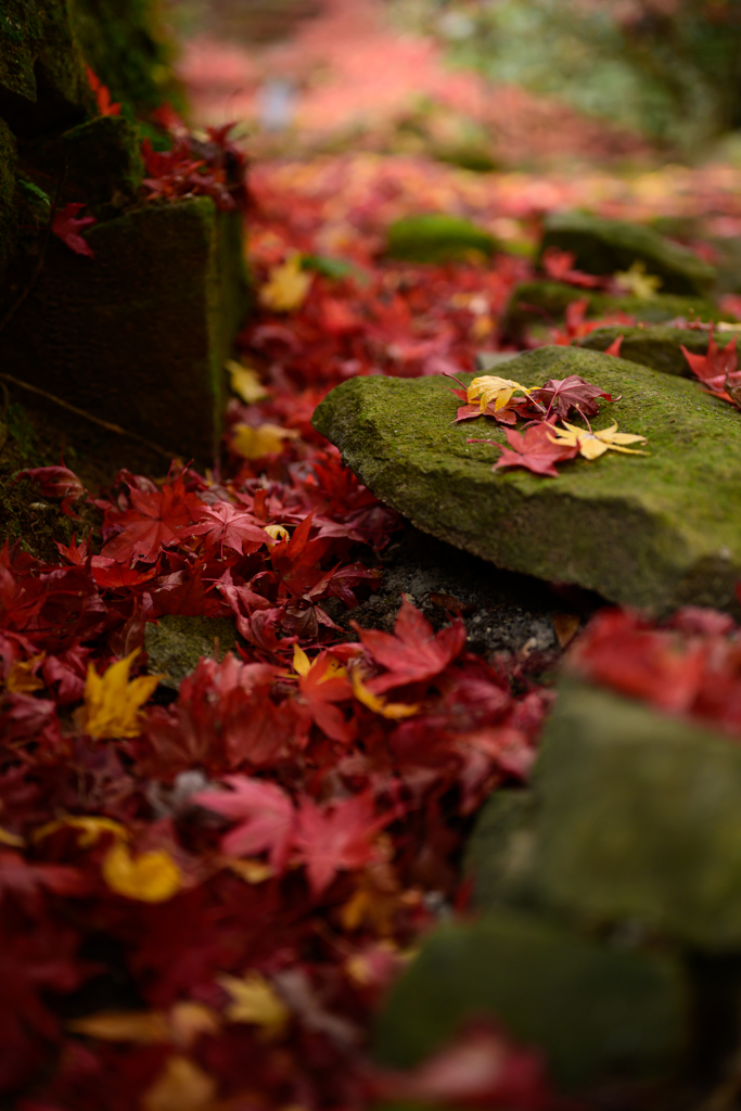 秋のエピローグ