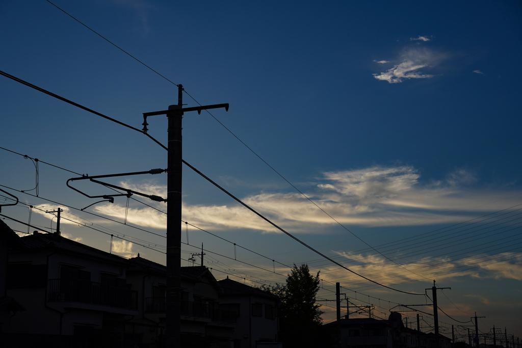 晩夏の朝