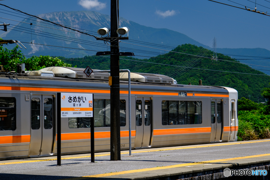 夏の伊吹山を背景に