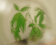 未来が見えた!?