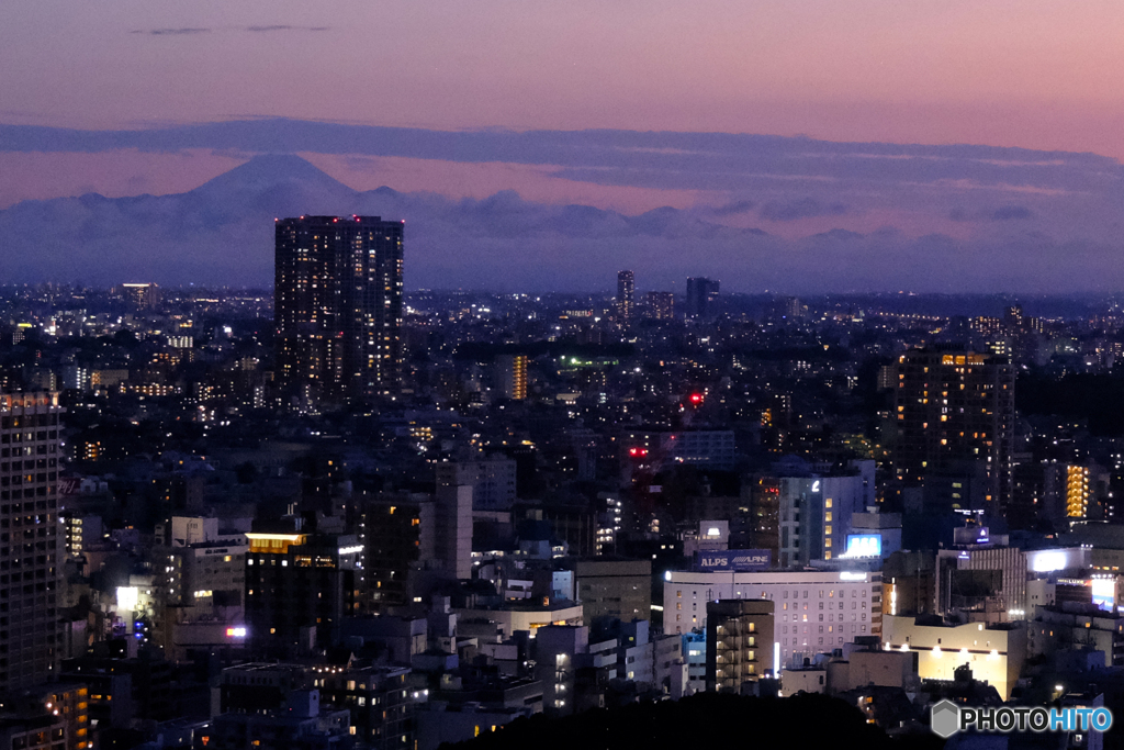 富士山が見えた