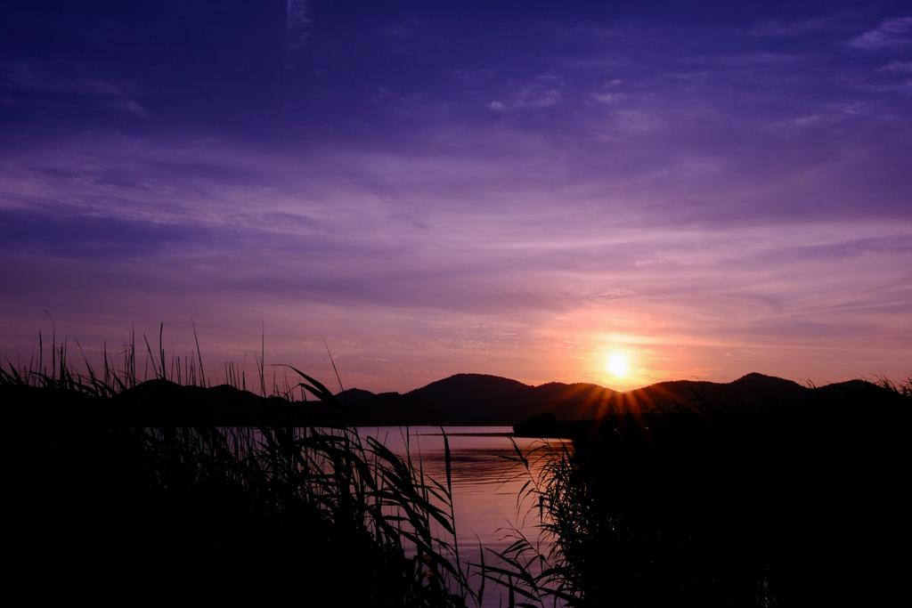 西の湖の夕日