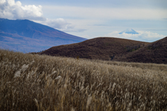 富士に出会える場所
