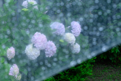 涼雨