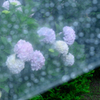 涼雨