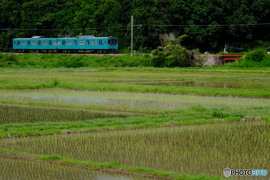 水田と鉄道のある風景　その3