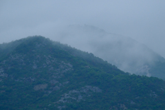 青梅雨