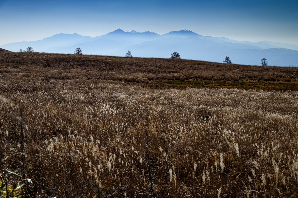アルプスを眺めるとき