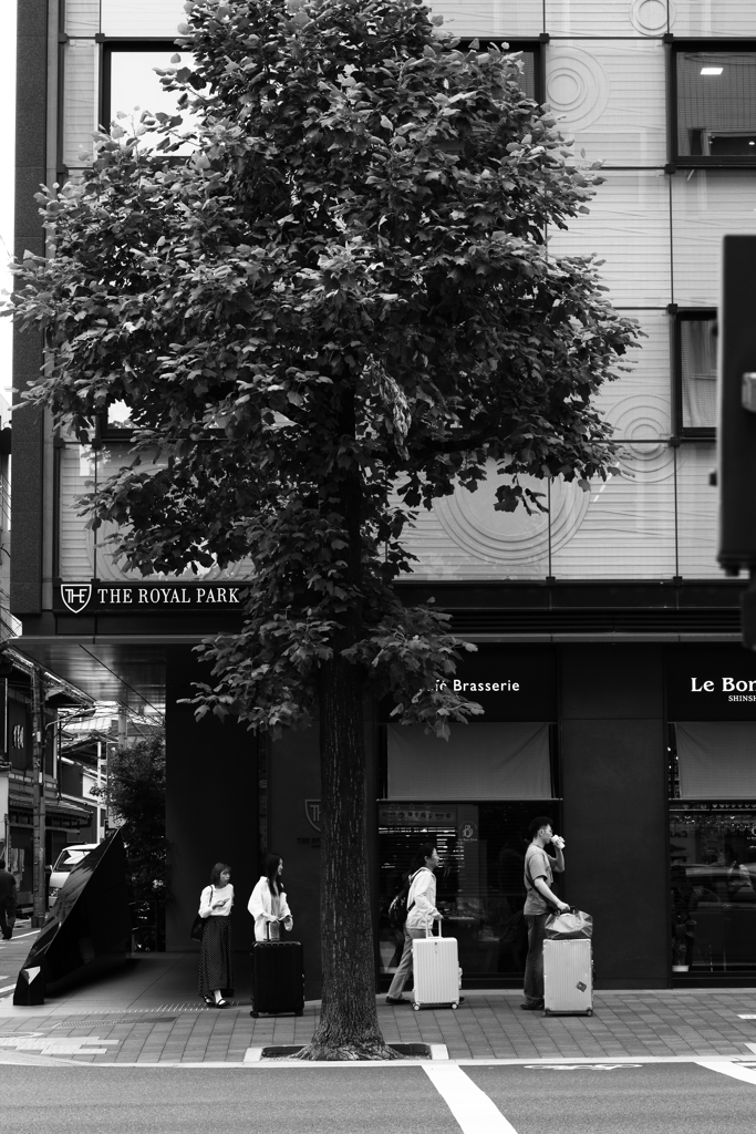 MONOCLO　KYOTO