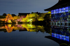 平安神宮ライトアップ