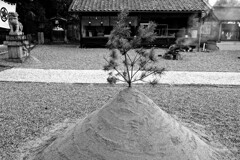 日本