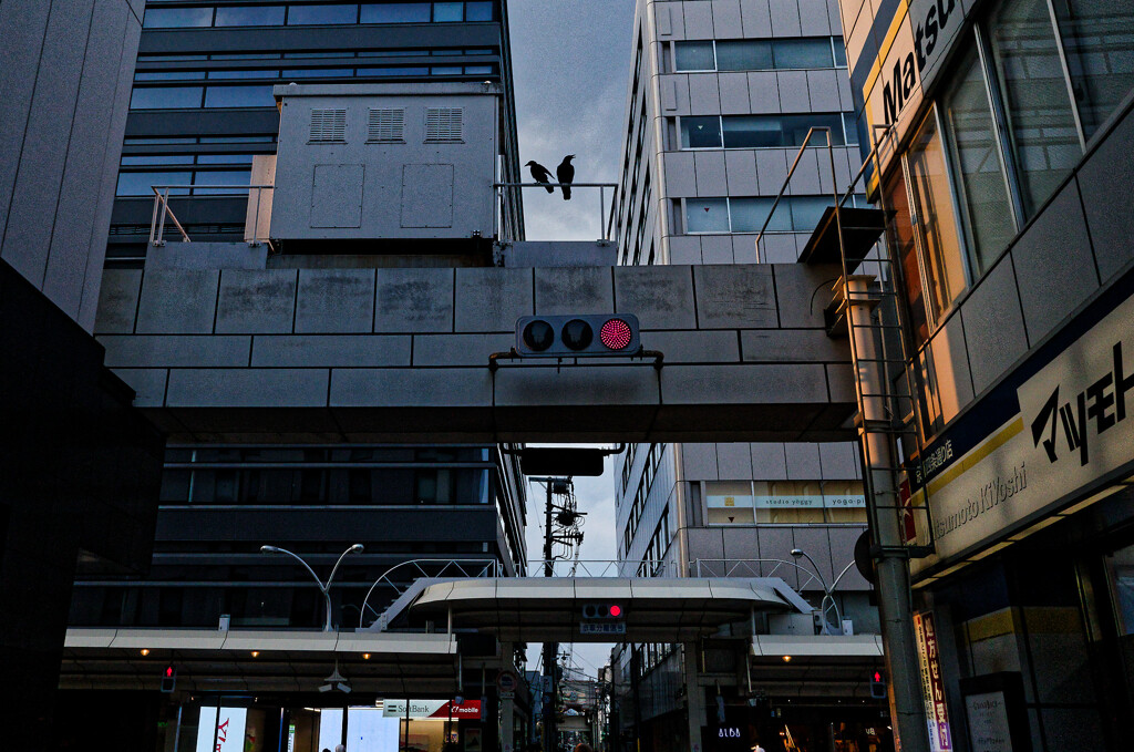 平熱