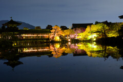 平安神宮ライトアップ