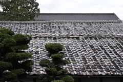 屋根
