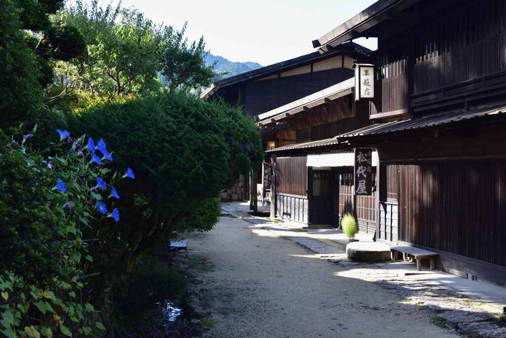 朝顔咲く妻籠宿