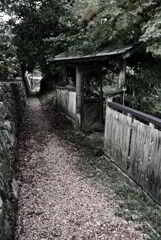 路地