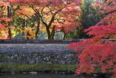 静寂の雅