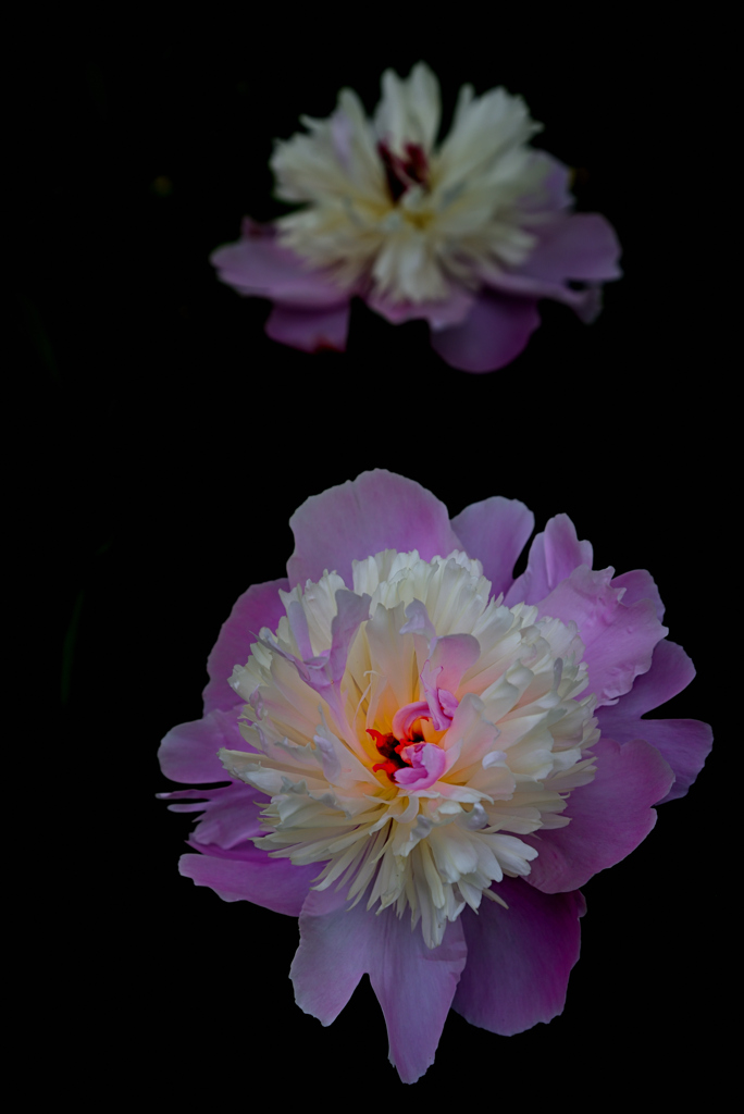750_3673