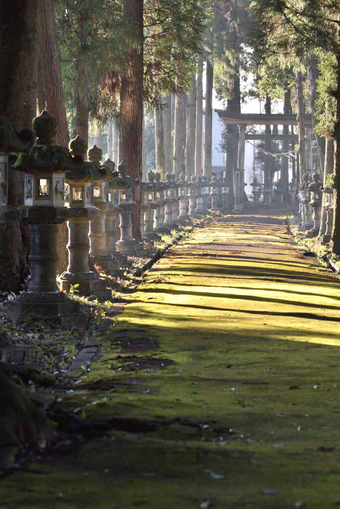 清々しい朝光