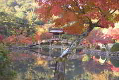 紅葉に映える無際橋
