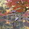 紅葉に映える無際橋