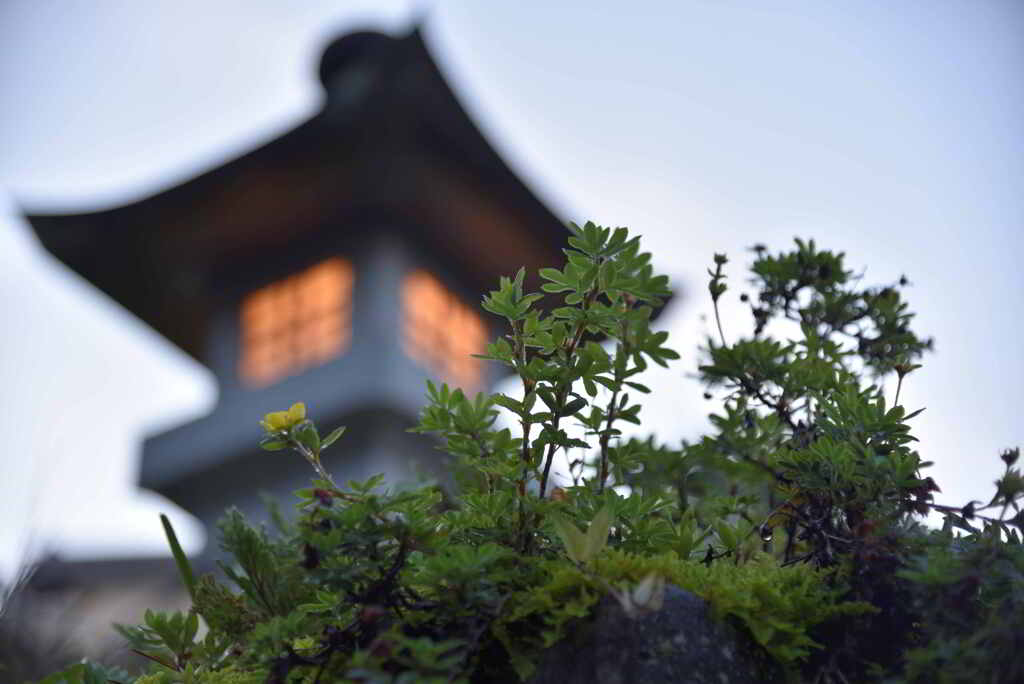 馬籠宿　早朝の光