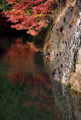 池と紅葉