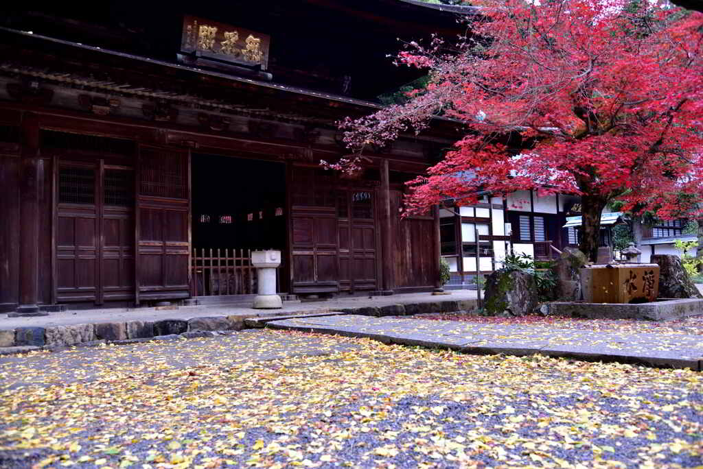 黄葉と紅葉