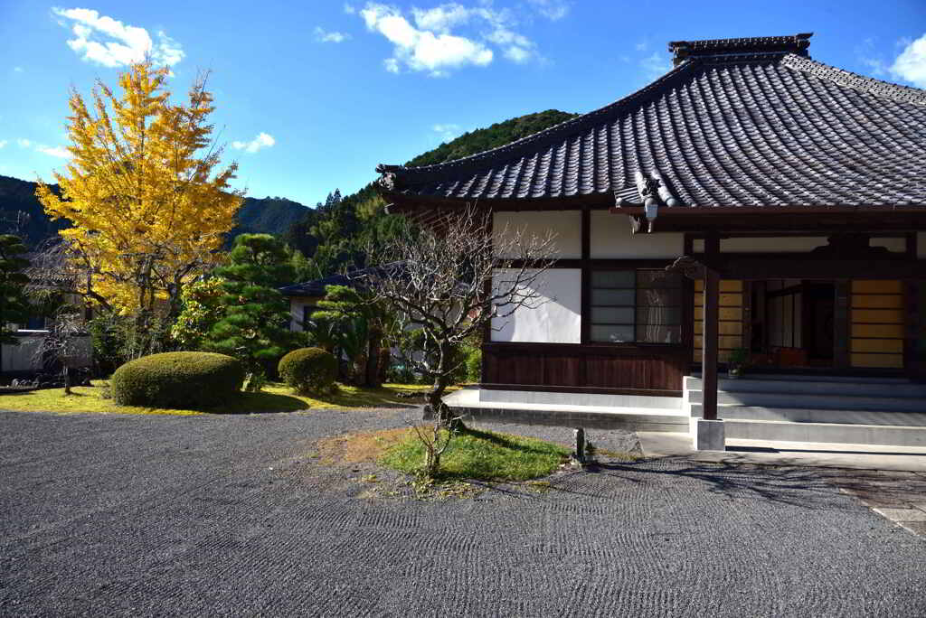 なにげない銀杏木