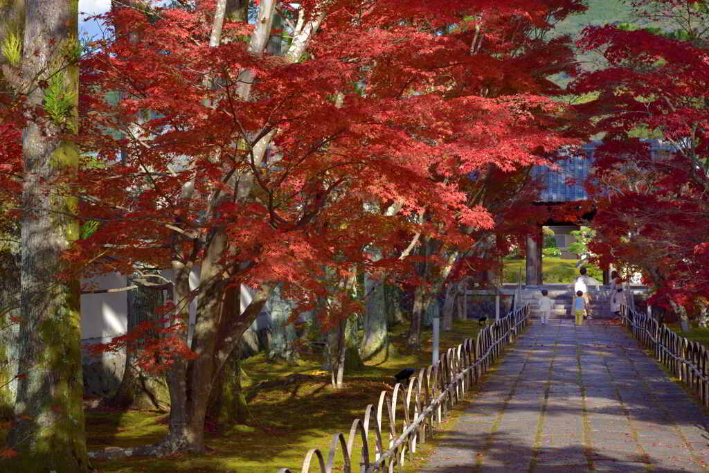 みんなで紅葉狩り