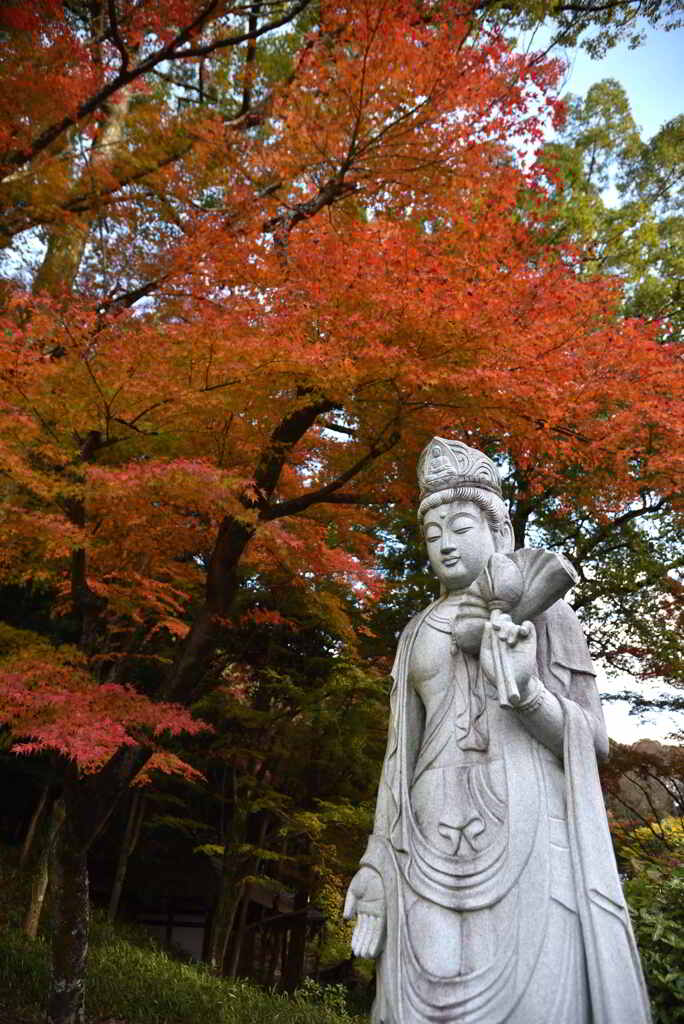 紅葉と観音様