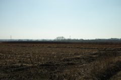 DP2M0454