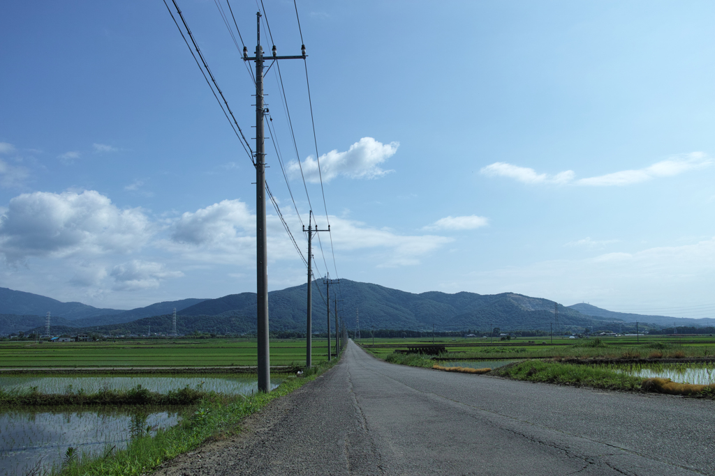 DP1M0632