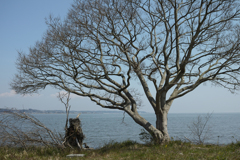 DP2M0537