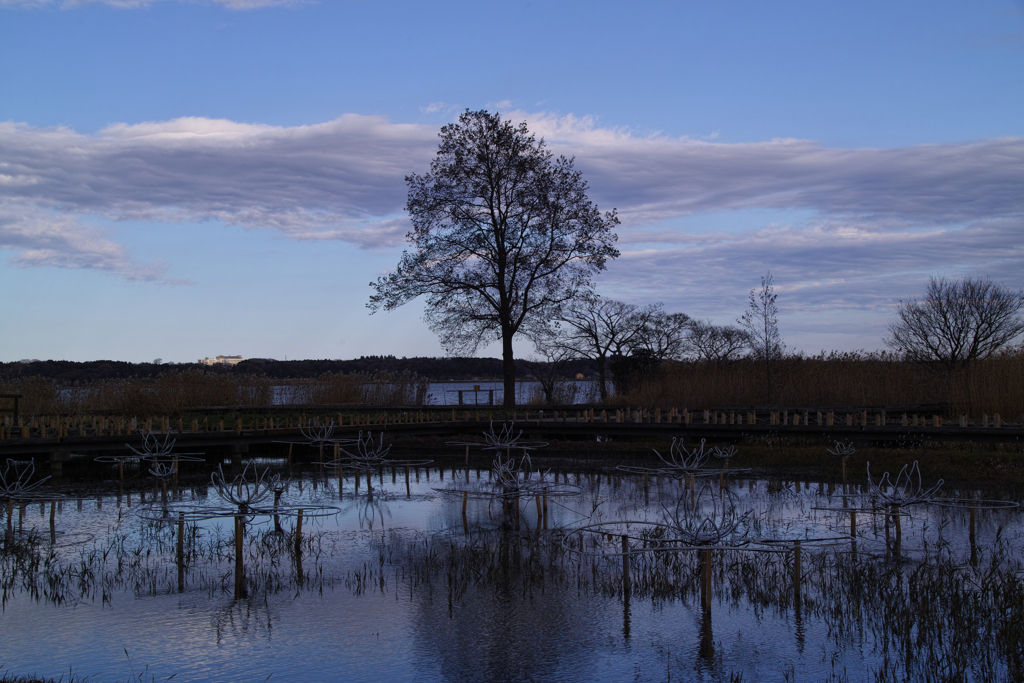 SDIM0397
