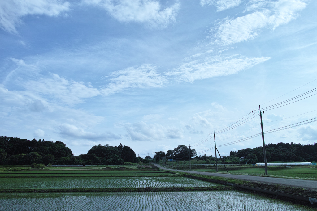 DP1M0764