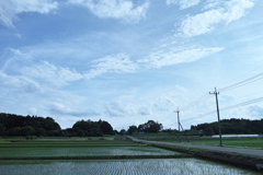 DP1M0764