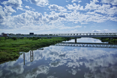 DP0Q0833