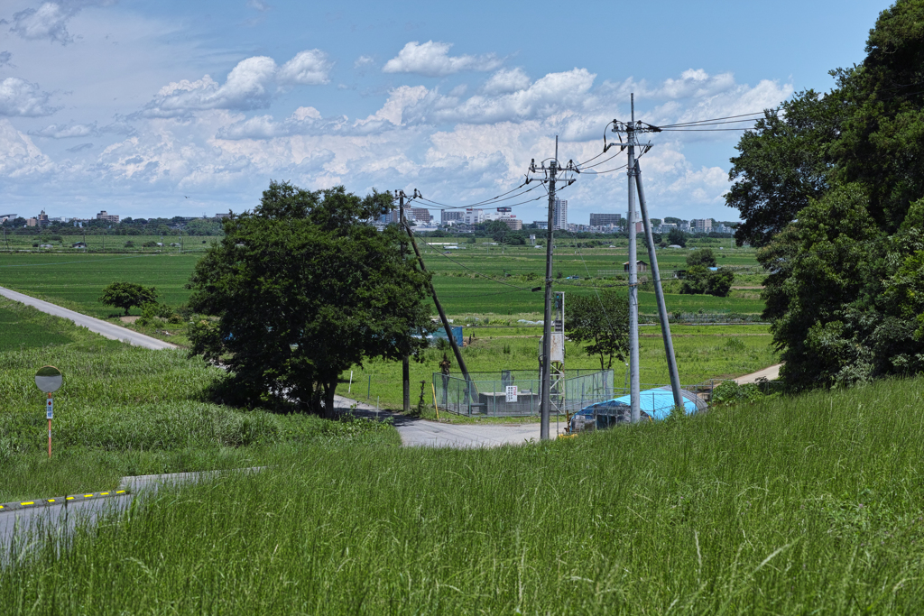 DP3M0648