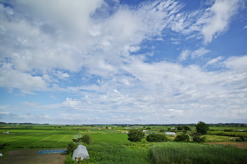DP0Q0760