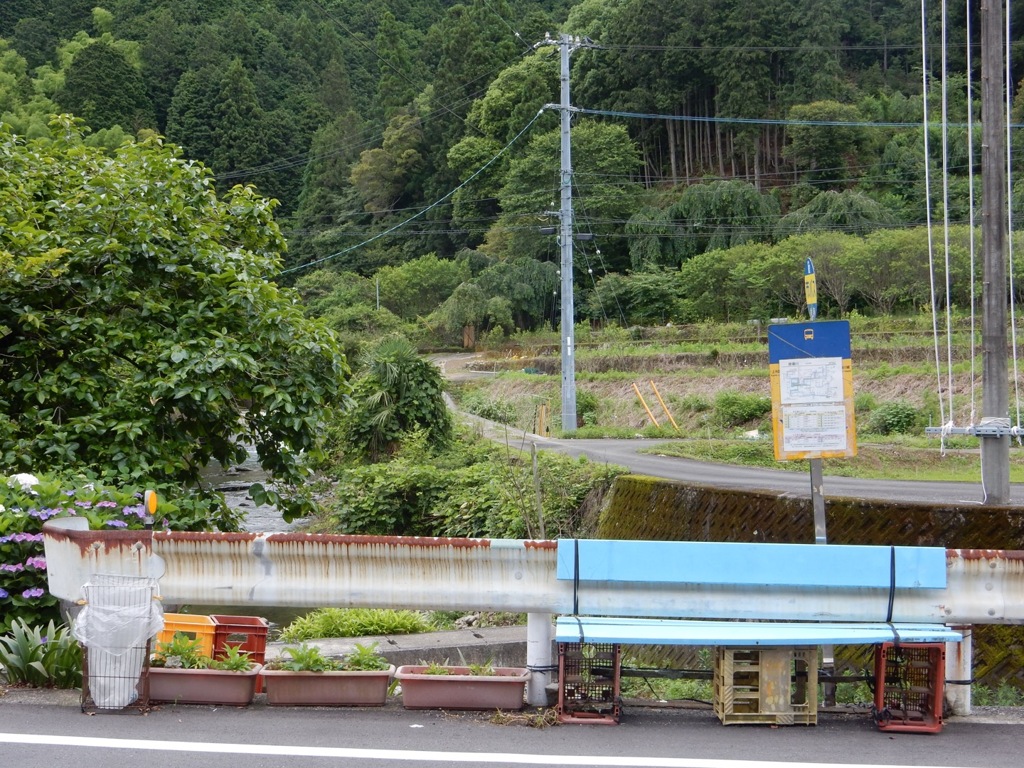 ベンチ