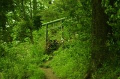 A463DEBD-87D9-4B83-BE1E-BF1754DB0447