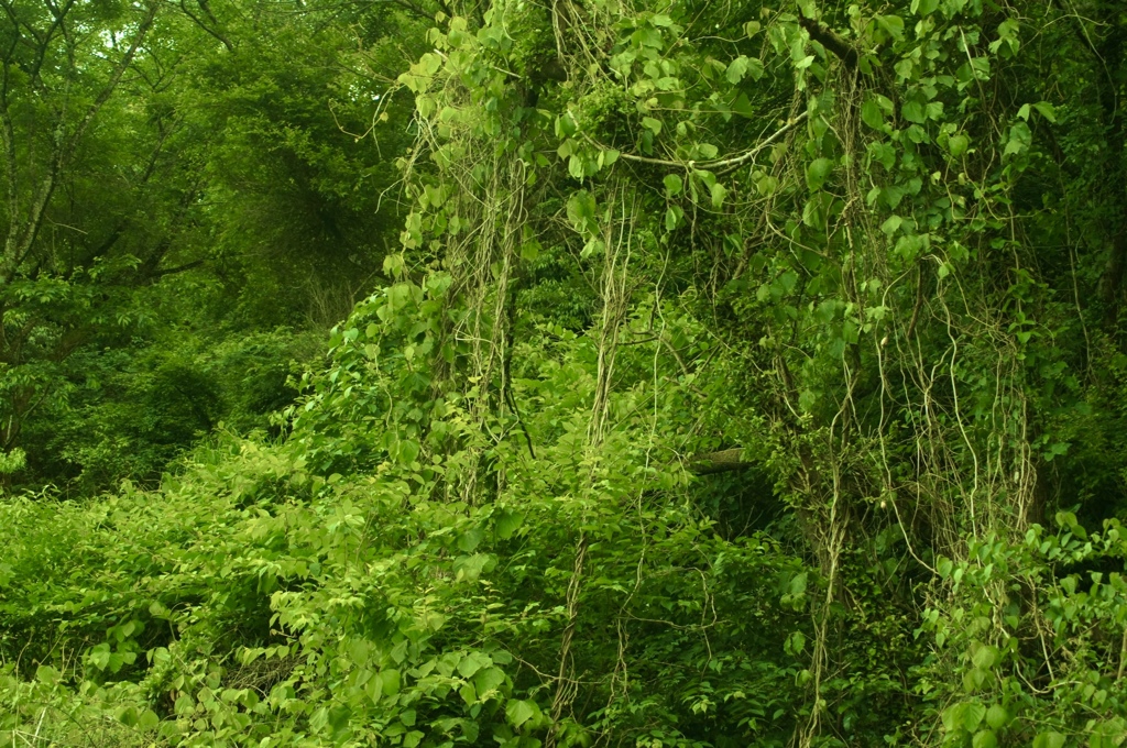 EF997253-23E4-45F9-A975-DD18430B6D2C