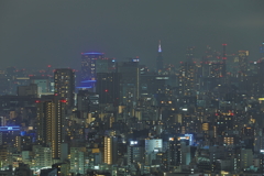 東京夜景②