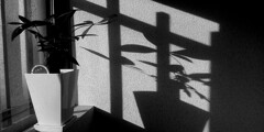 IMG_20231026_153324