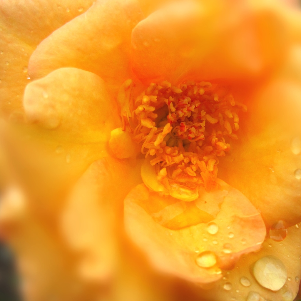 IMG_20231009_152243