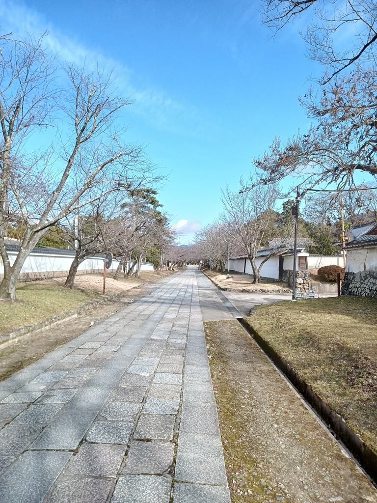 醍醐寺へ。